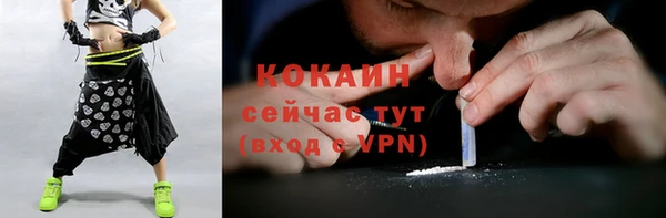 трава Арсеньев