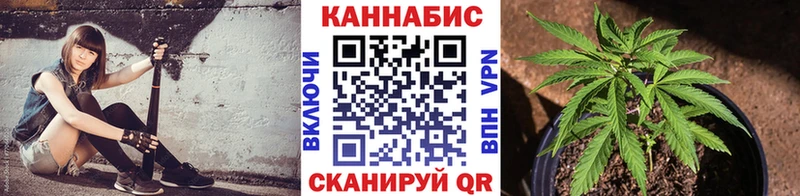 сколько стоит Любань Конопля гибрид